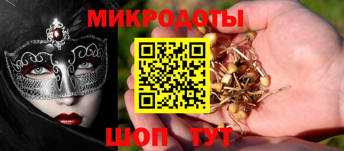 Галлюциногенные грибы Psilocybine cubensis Лабытнанги